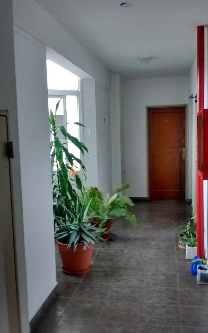 Foto de Departamento de 27 m² en alquiler en La Plata, imagen 4