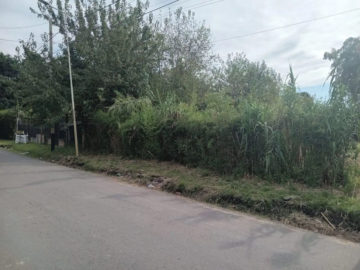 VENTA LOTE 1033 M2 TORTUGUITAS 18 ANCHO X 57 LARGO 5