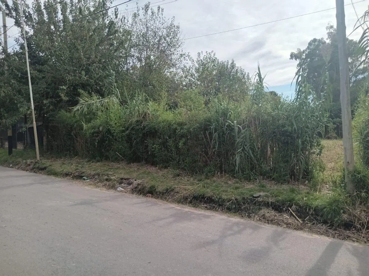 VENTA LOTE 1033 M2 TORTUGUITAS 18 ANCHO X 57 LARGO 2