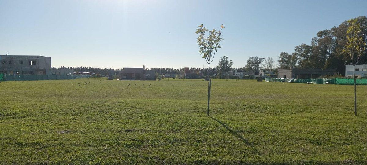 VENTA/PERMUTA LOTE 1017 M2 BARRIO MONET CARDALES