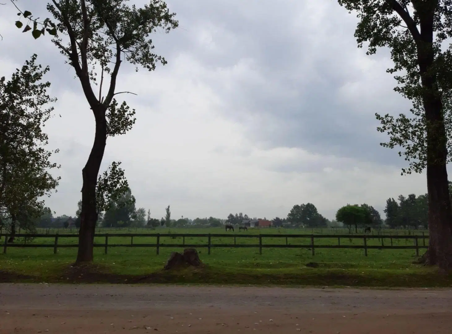 Lote 5000m2 en VENTA en El Malacate 3