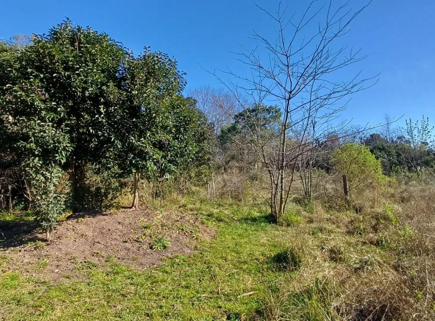 LOTE EN VENTA EN ZELAYA - IDEAL QUINTA O CHACRA 5
