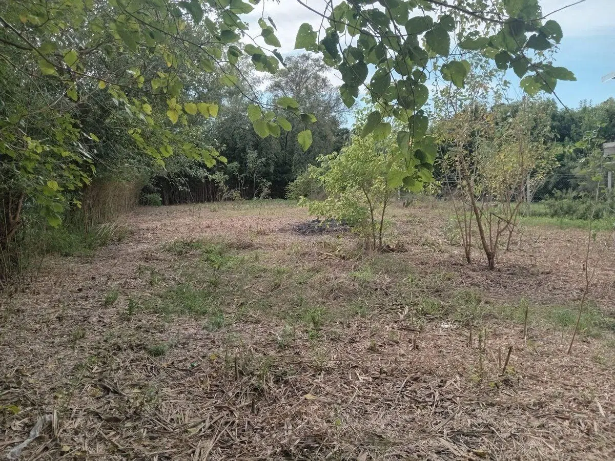 VENTA LOTE 1033 M2 TORTUGUITAS 18 ANCHO X 57 LARGO 8