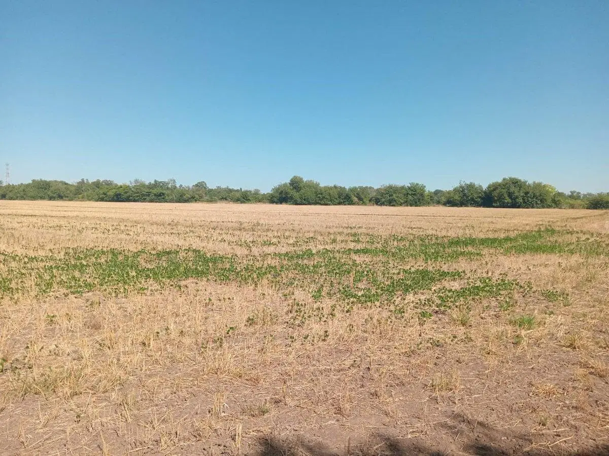 VENTA CAMPO 16 HECTAREAS ZONA PILAR 3