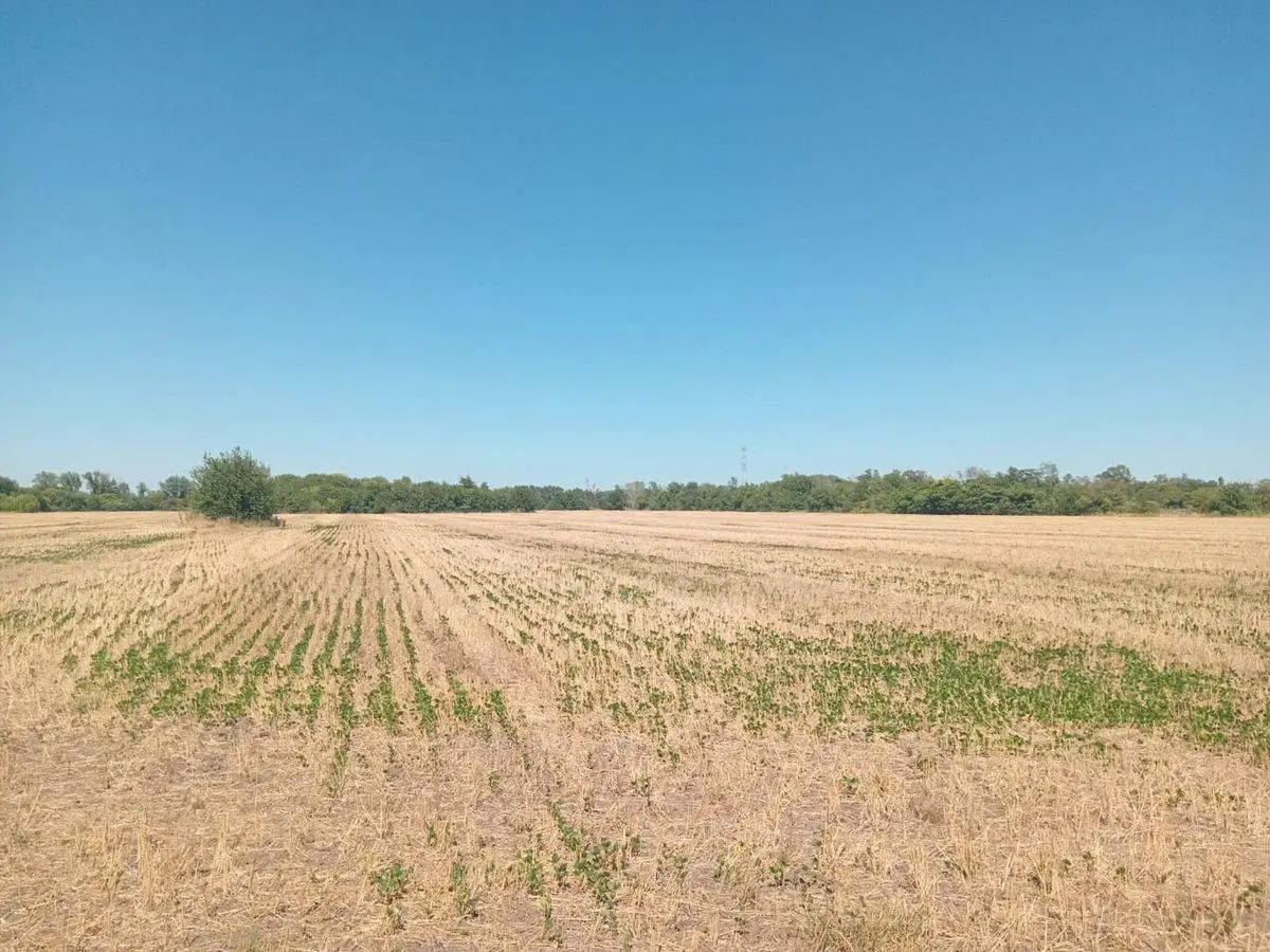 VENTA CAMPO 16 HECTAREAS ZONA PILAR 2