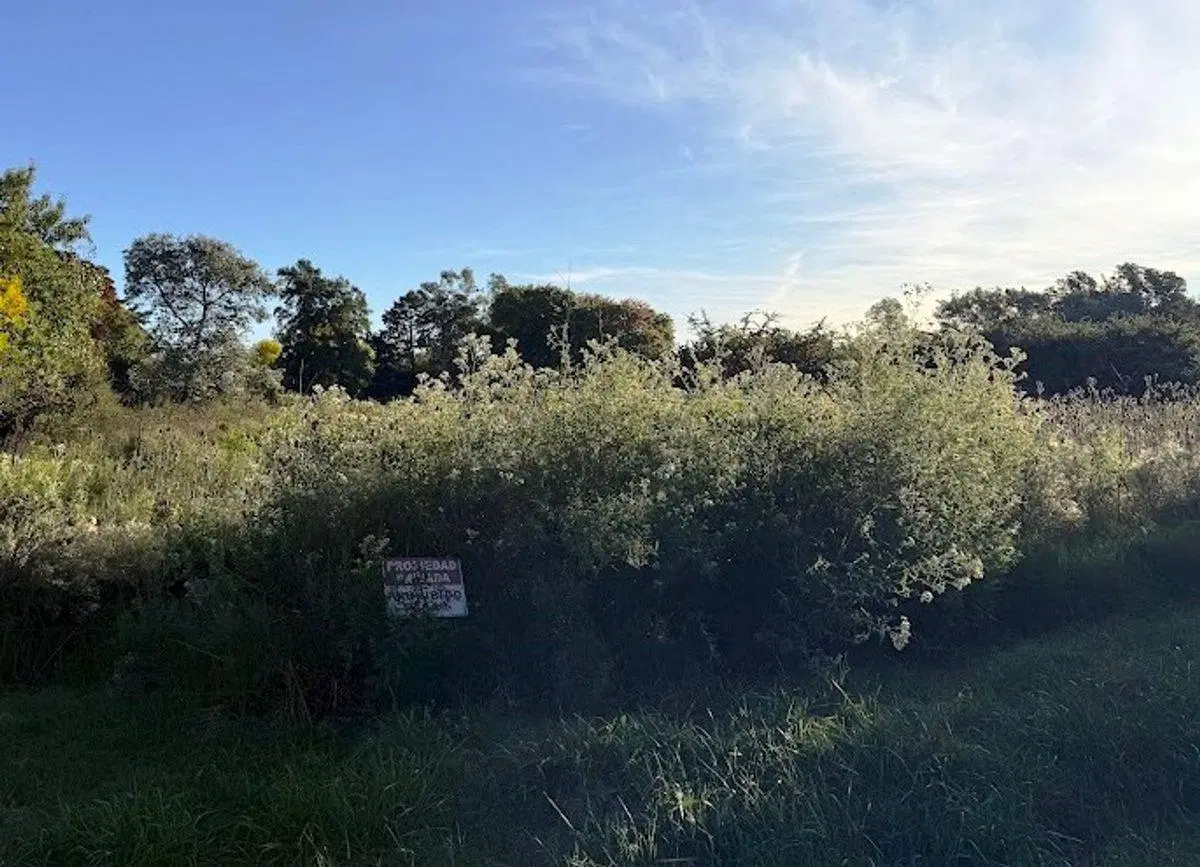 VENTA DE LOTE PARADA DE ROBLES 2