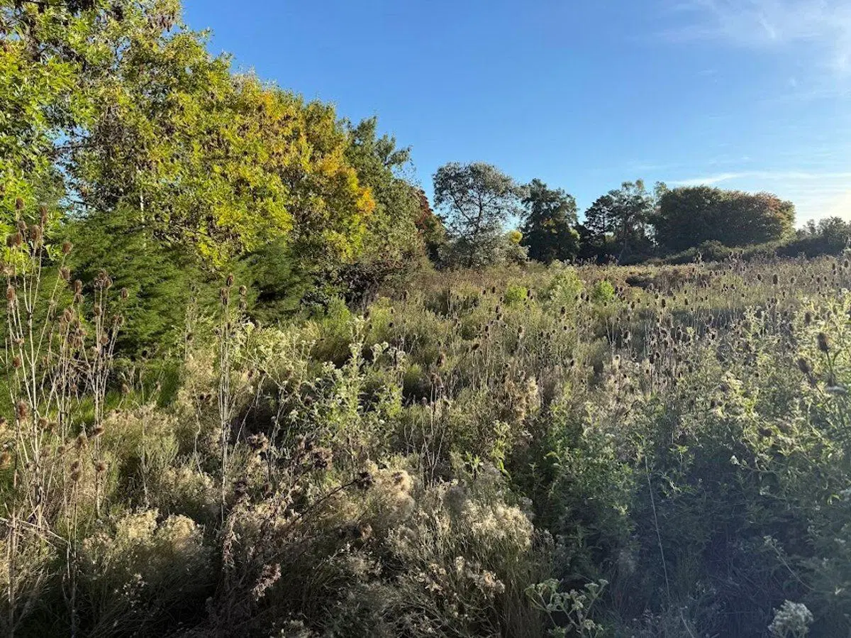 VENTA DE LOTE PARADA DE ROBLES 5