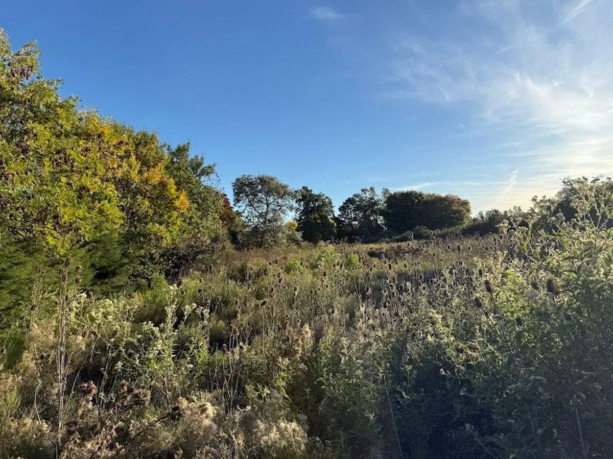 VENTA DE LOTE PARADA DE ROBLES 4