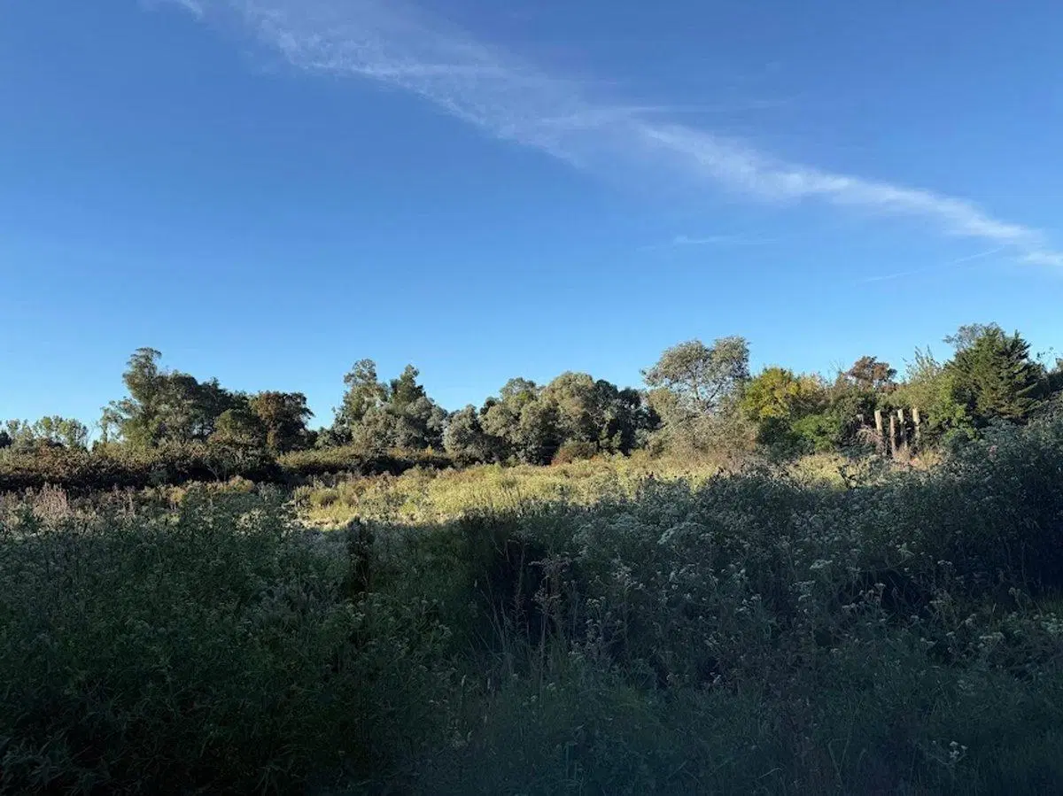 VENTA DE LOTE PARADA DE ROBLES 4