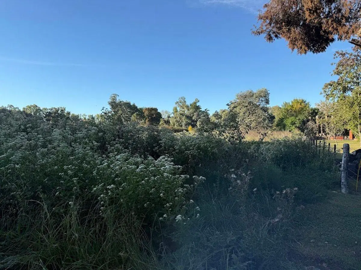 VENTA DE LOTE PARADA DE ROBLES 3
