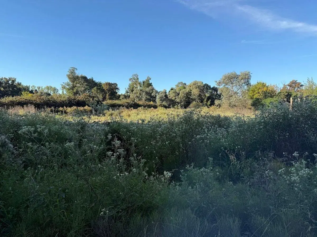 VENTA DE LOTE PARADA DE ROBLES 5