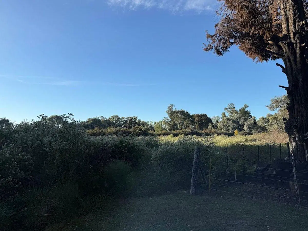 VENTA DE LOTE PARADA DE ROBLES 2