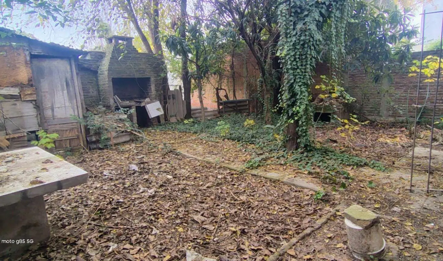 Lote con casa a refaccionar o demoler en Benavidez 5