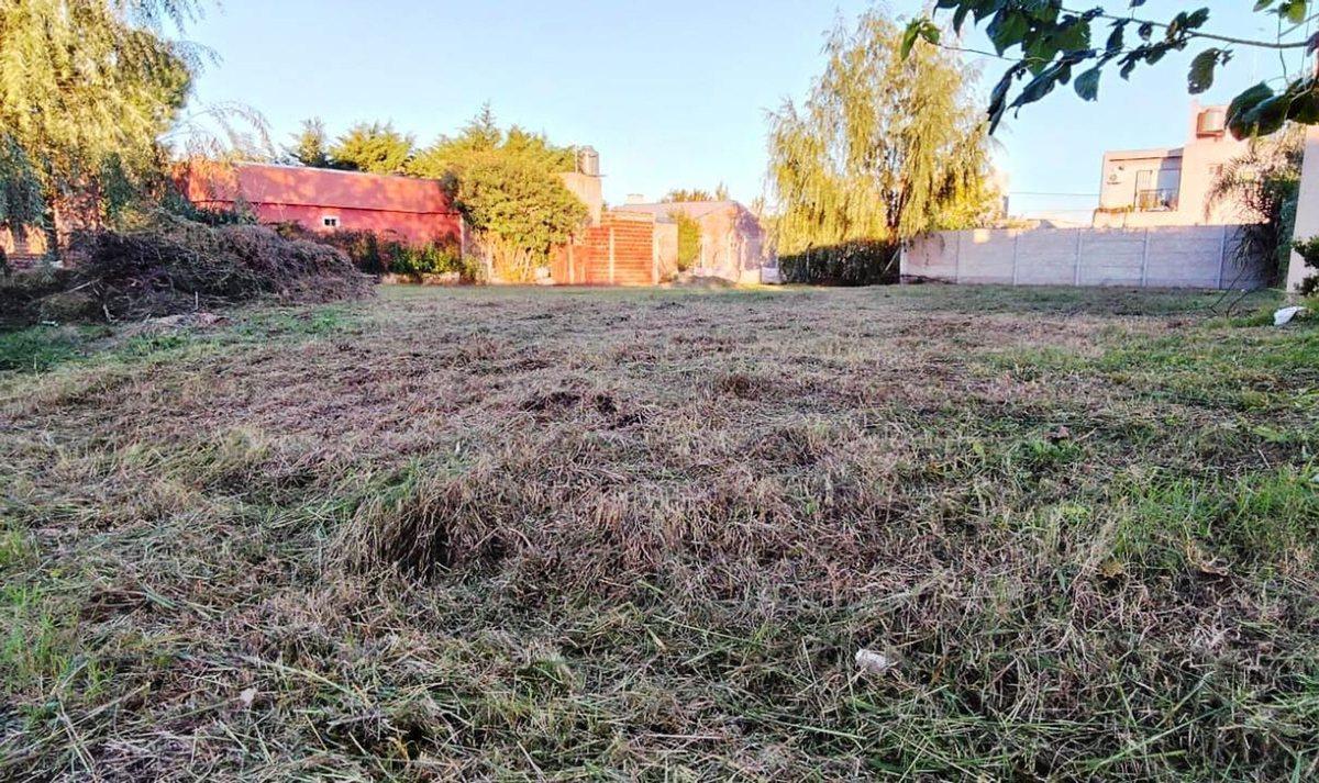 Imagen de la propiedad