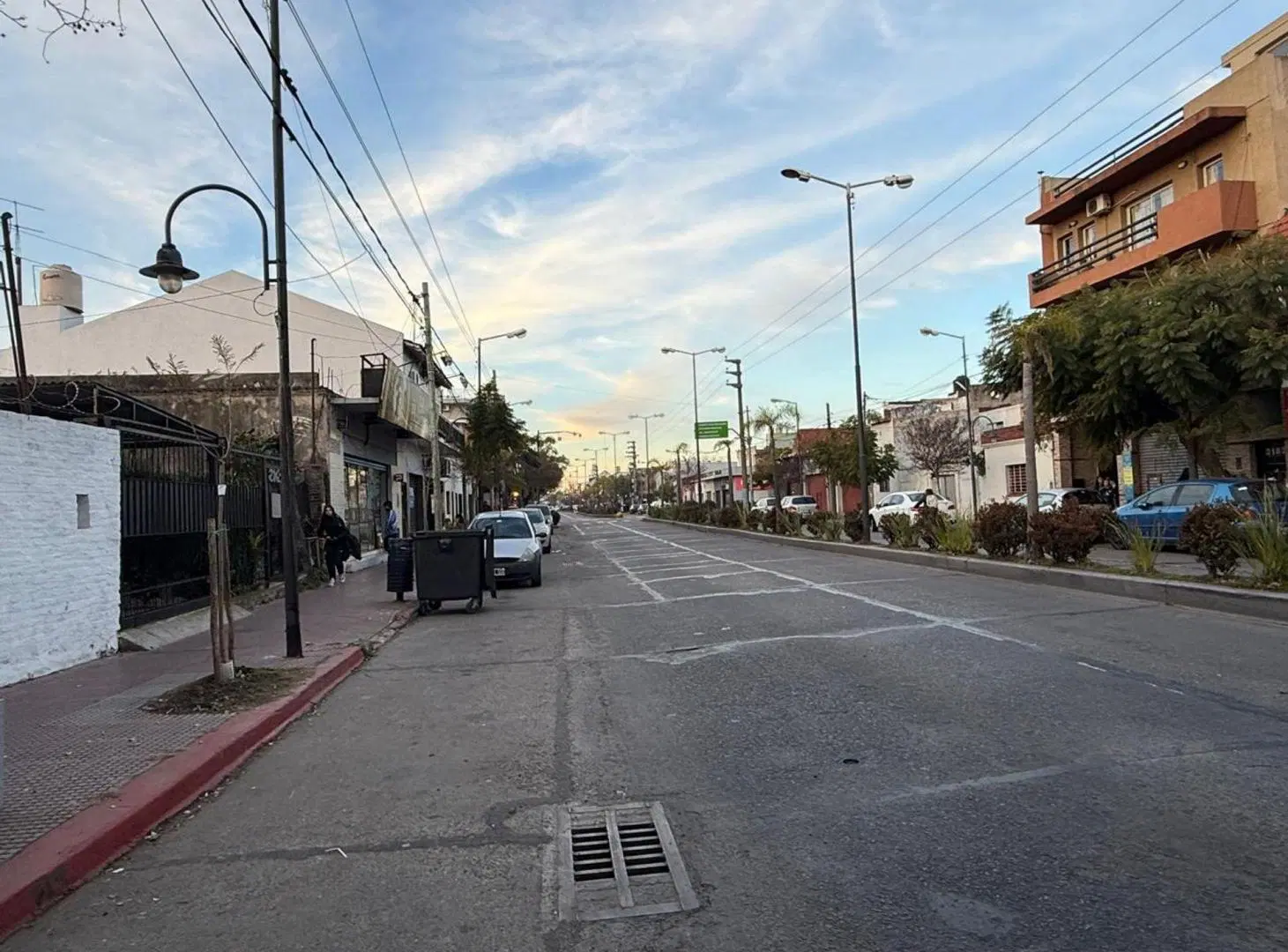 VENTA TERRENO SOBRE AV. AVELLANEDA– VIRREYES 2