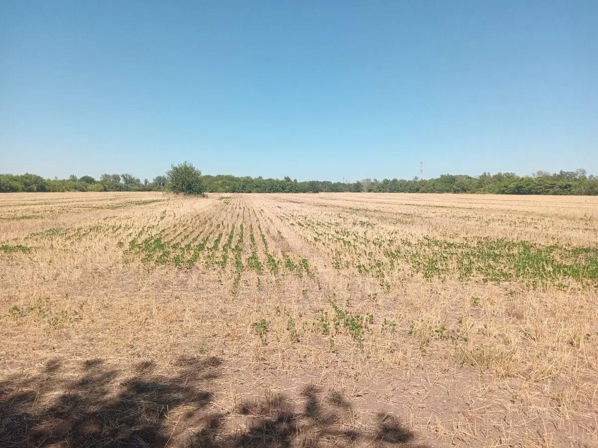 VENTA CAMPO 16 HECTAREAS ZONA PILAR 2