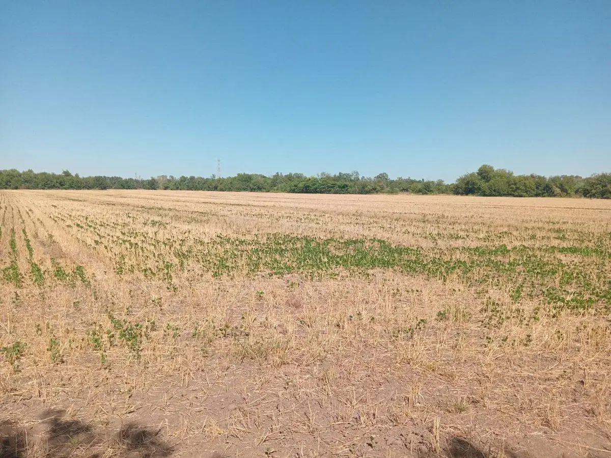 VENTA CAMPO 16 HECTAREAS ZONA PILAR 4