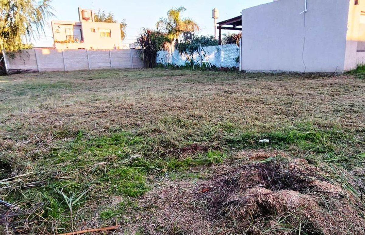 Foto de Terreno en Venta, imagen 3