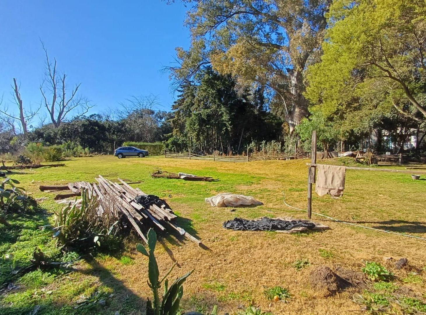 Foto de LOTE EN VENTA EN ZELAYA - IDEAL QUINTA O CHACRA, imagen 4