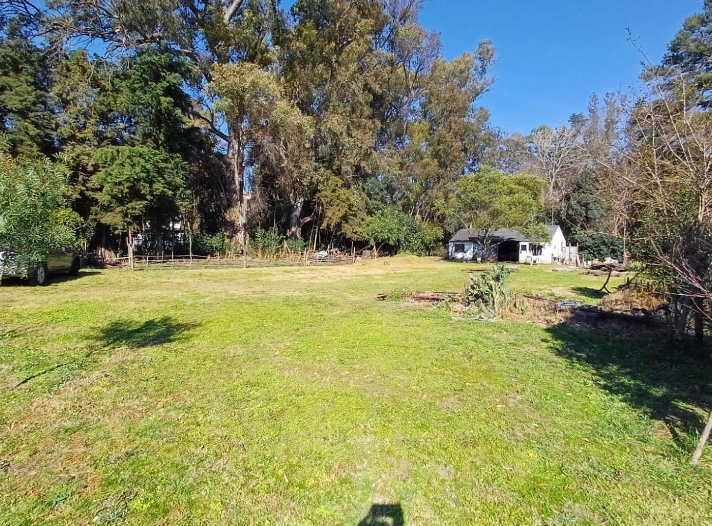 Foto de LOTE EN VENTA EN ZELAYA - IDEAL QUINTA O CHACRA, imagen 1