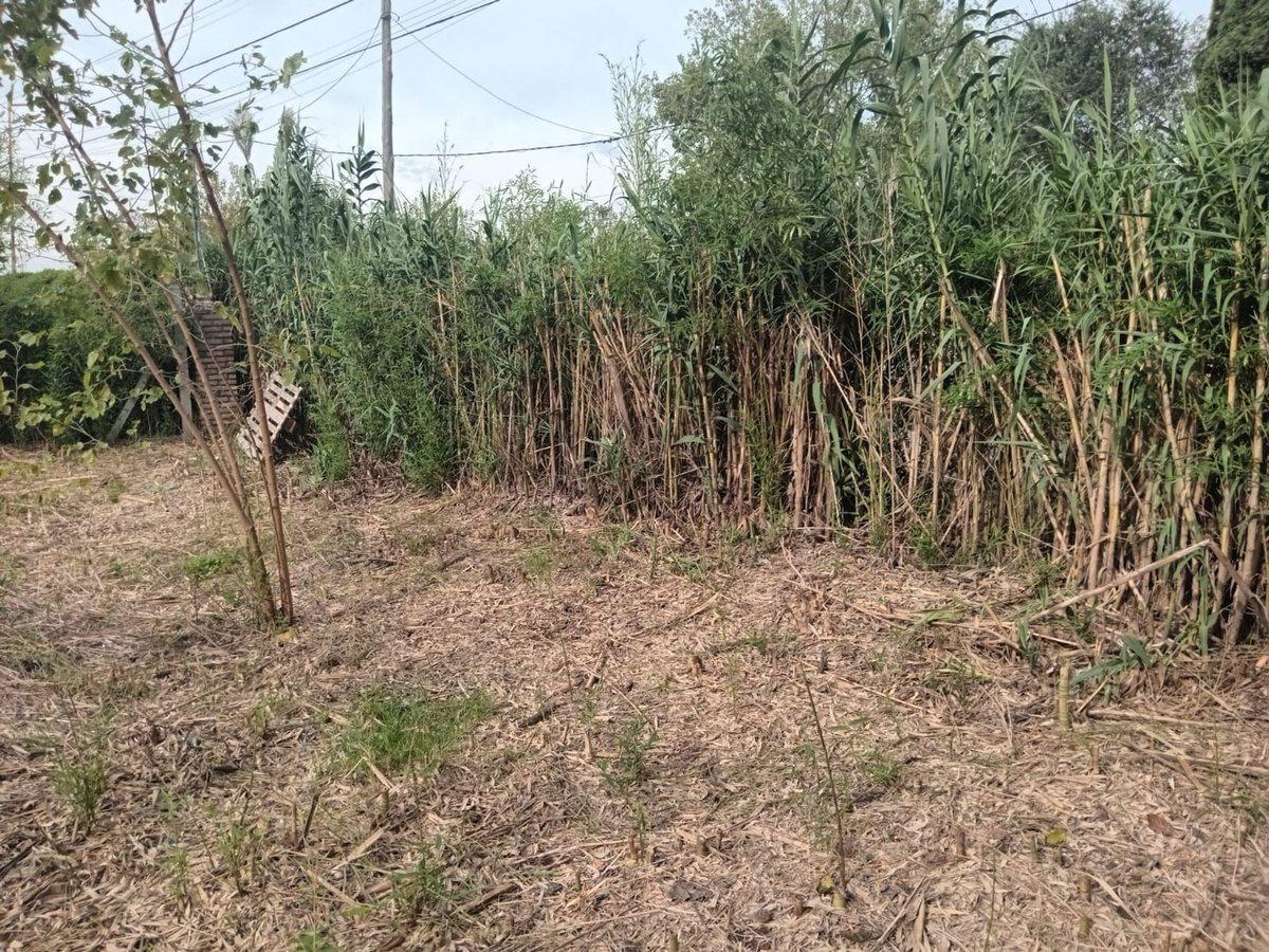 Foto de VENTA LOTE 1033 M2 TORTUGUITAS 18 ANCHO X 57 LARGO, imagen 3