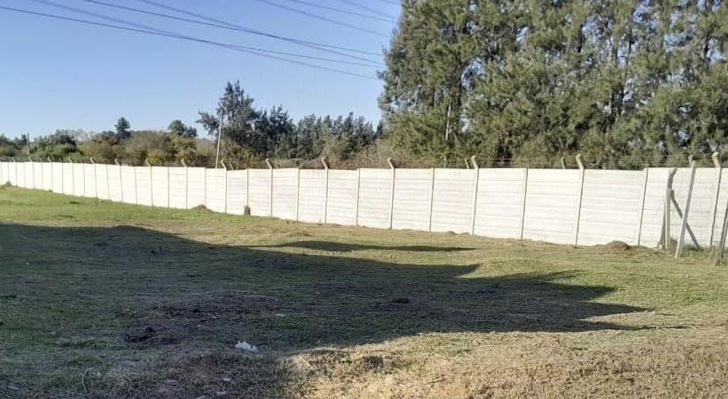 Foto de Terreno en venta, imagen 4