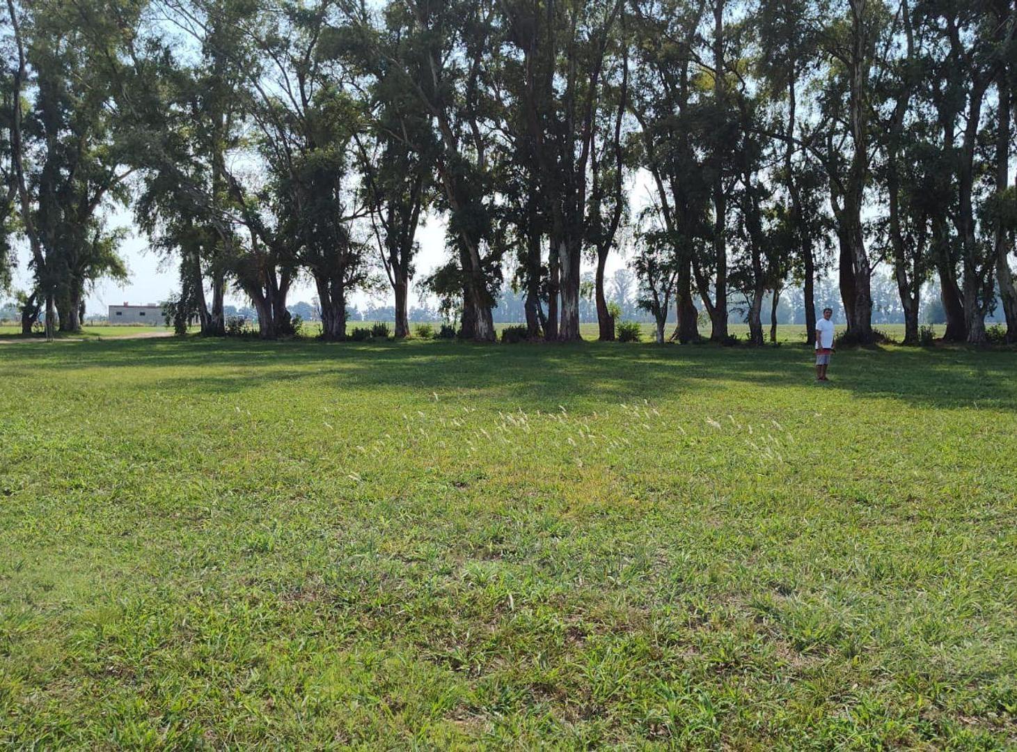 Foto de LOTE GRAN VENTA CHACRAS SAN ANDRES CARLOS KEEN, imagen 2