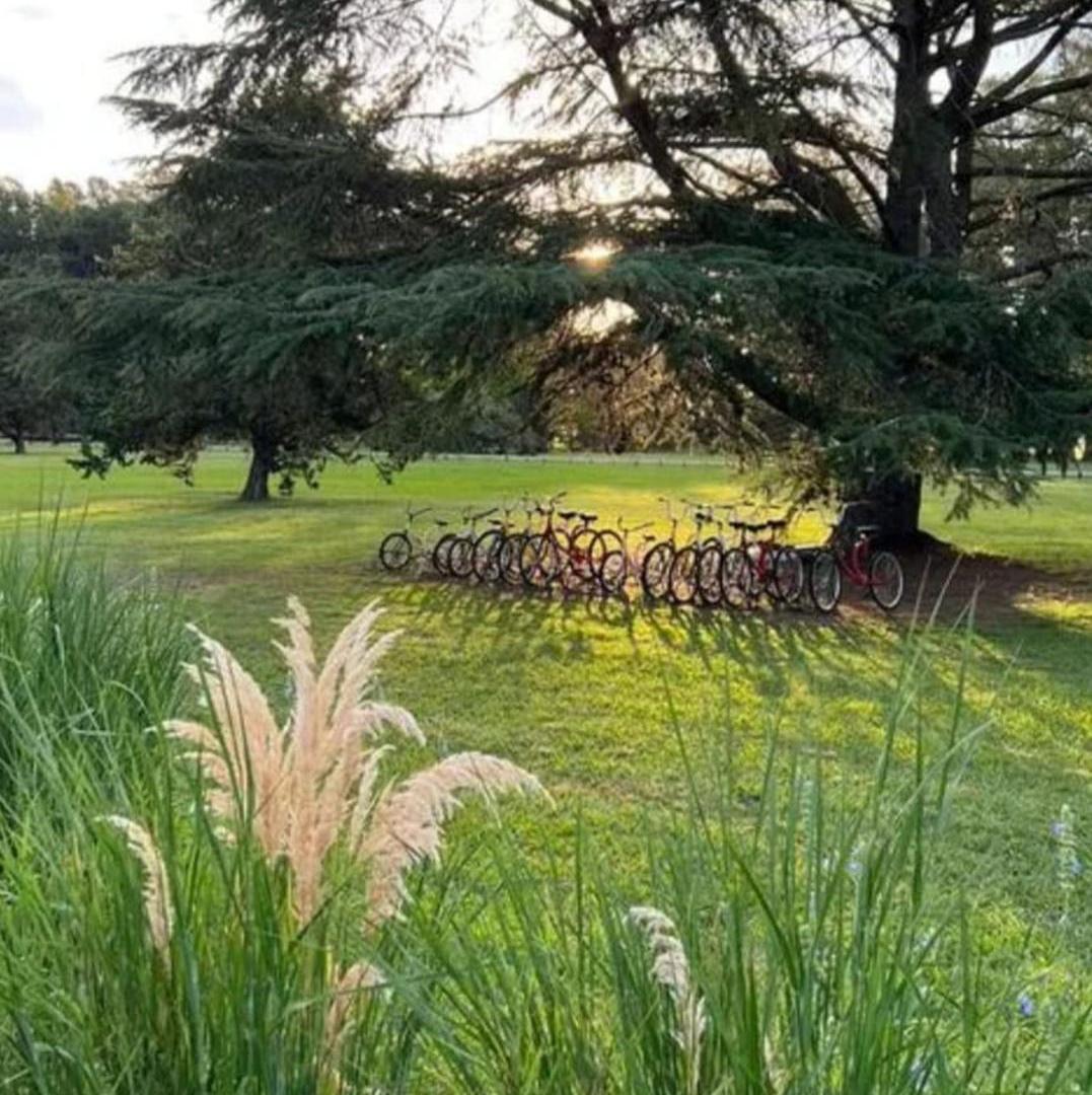 Foto de LOTE GRAN VENTA CHACRAS SAN ANDRES CARLOS KEEN, imagen 3
