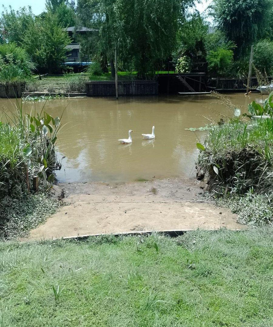 Foto de CASA EN VENTA C/AMARRA CLUB JARDÍN NÁUTICO ESOBAR, imagen 5