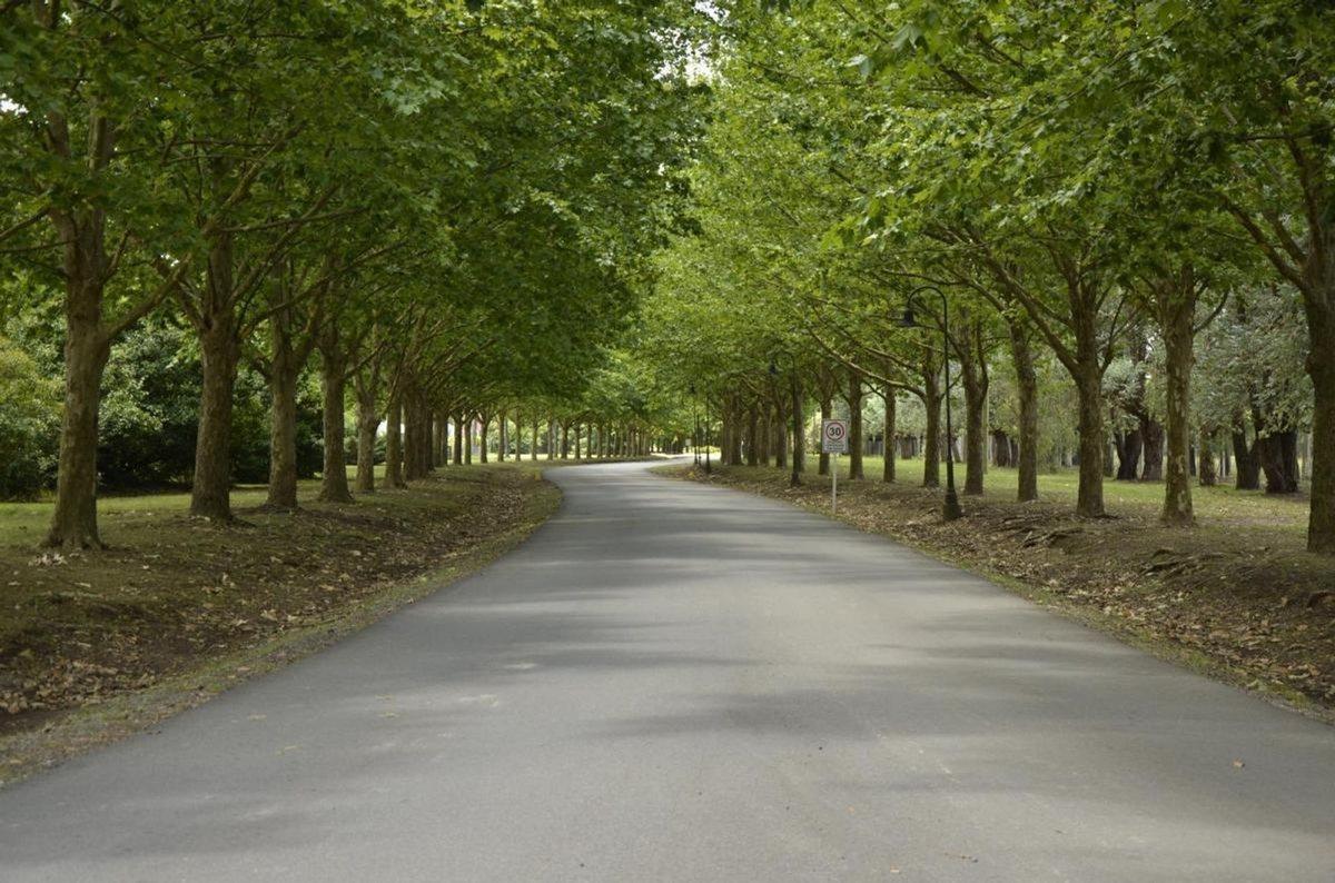Foto de Venta Lote Club de Campo Nacional Gral. Rodriguez, imagen 4