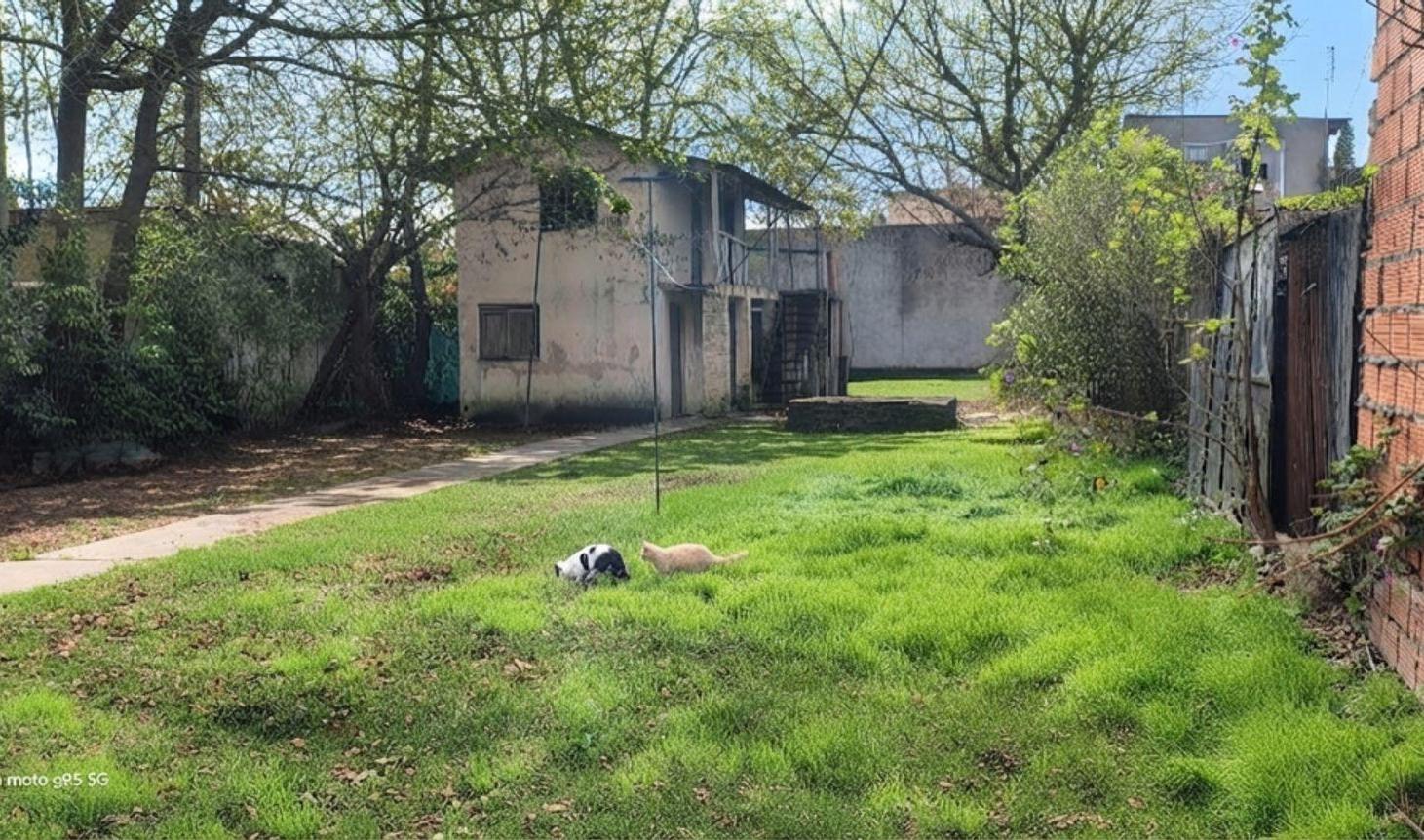 Foto de Lote con Casa en venta en Dique lujan, imagen 1