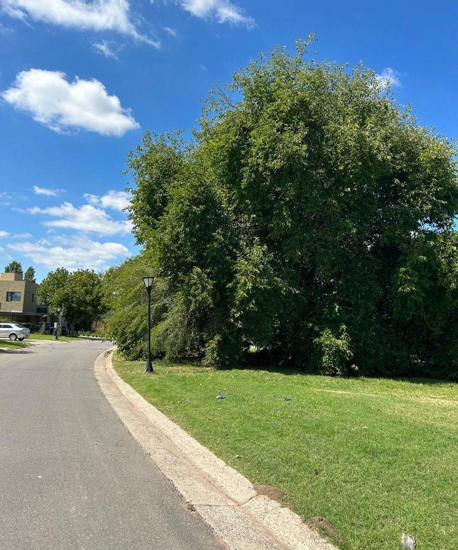 Foto de LOTE EN VENTA MOLINO N HARAS SANTA MARÍA ESCOBAR, imagen 5