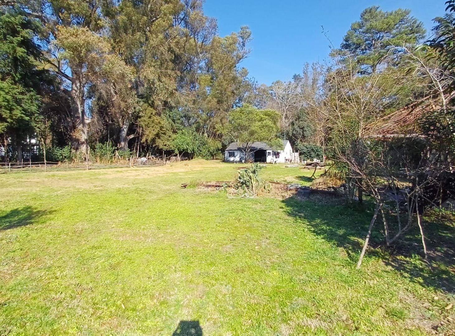 Foto de LOTE EN VENTA EN ZELAYA - IDEAL QUINTA O CHACRA, imagen 5