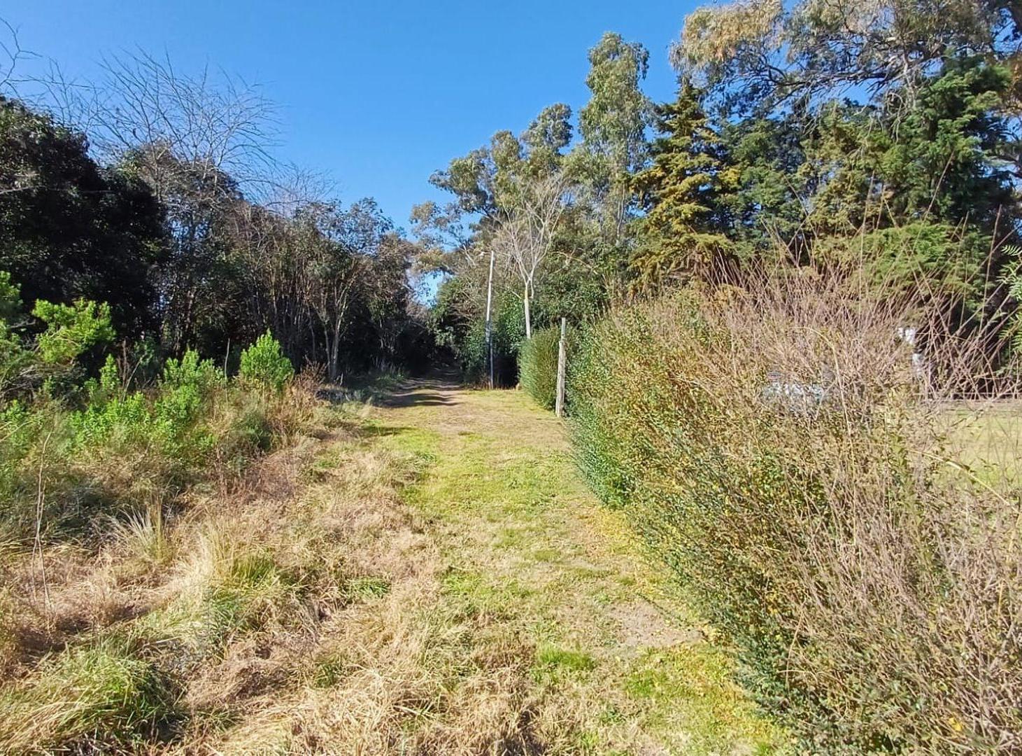 Foto de LOTE EN VENTA EN ZELAYA - IDEAL QUINTA O CHACRA, imagen 2