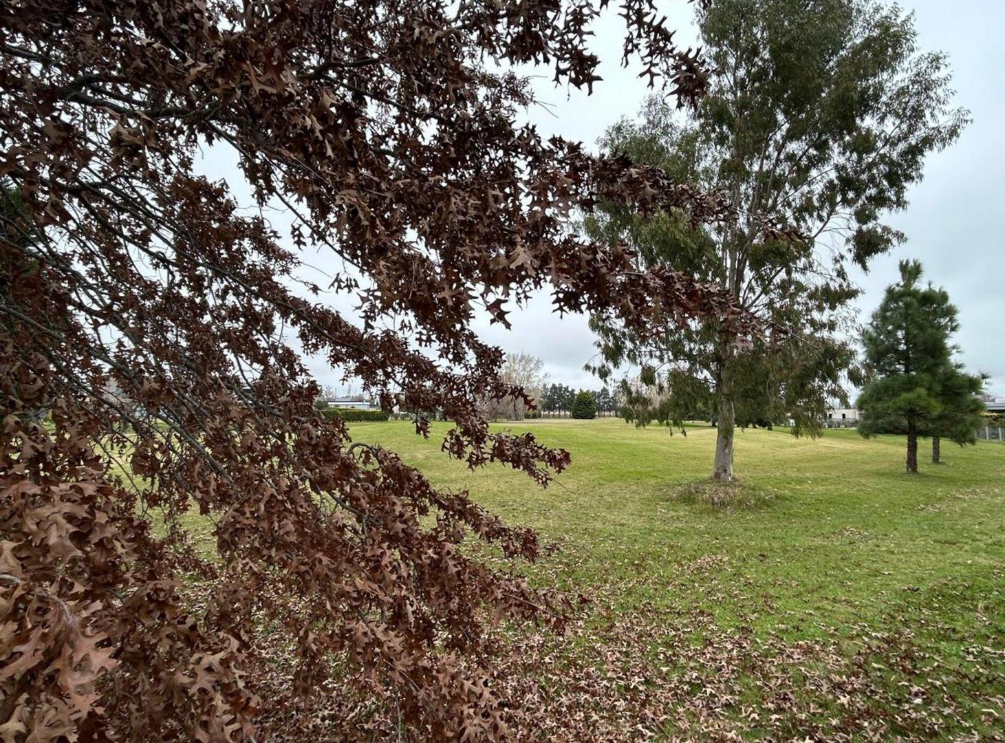 Foto de CASA EN VENTA 3 AMB CLUB DE CAMPO LAS CAÑUELAS, imagen 5