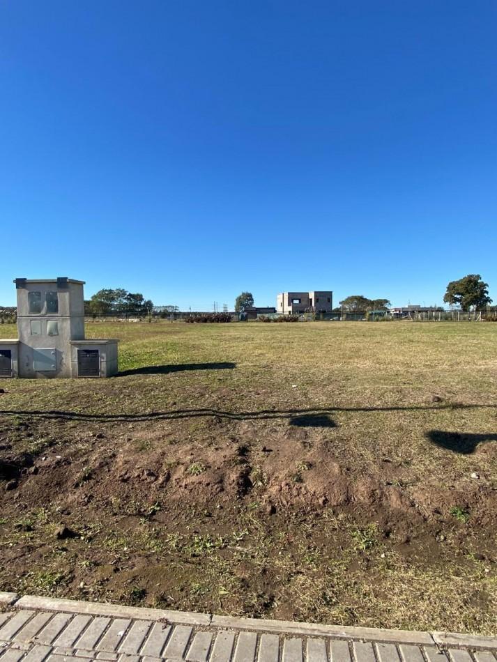 Foto de Lote en Venta - Developer Park, imagen 3