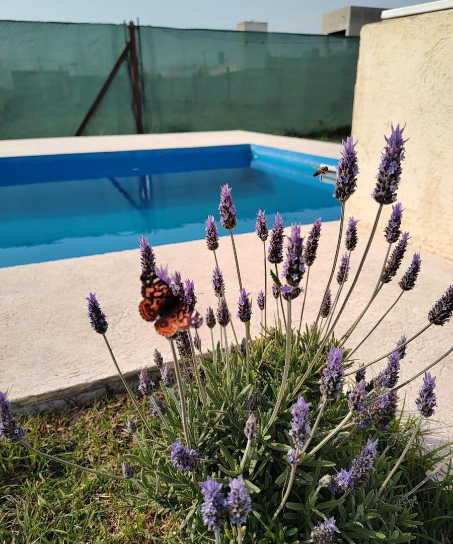 Casa en  Tierra de sueños 3