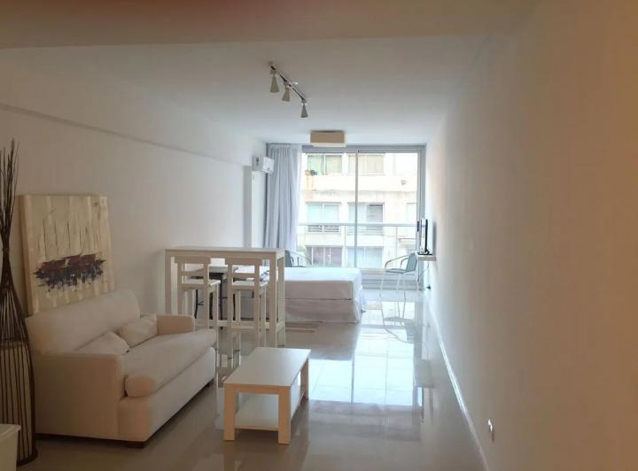 DEPARTAMENTO MONOAMBIENTE-PALERMO CHICO-ALQUILER TEMPORARIO 1