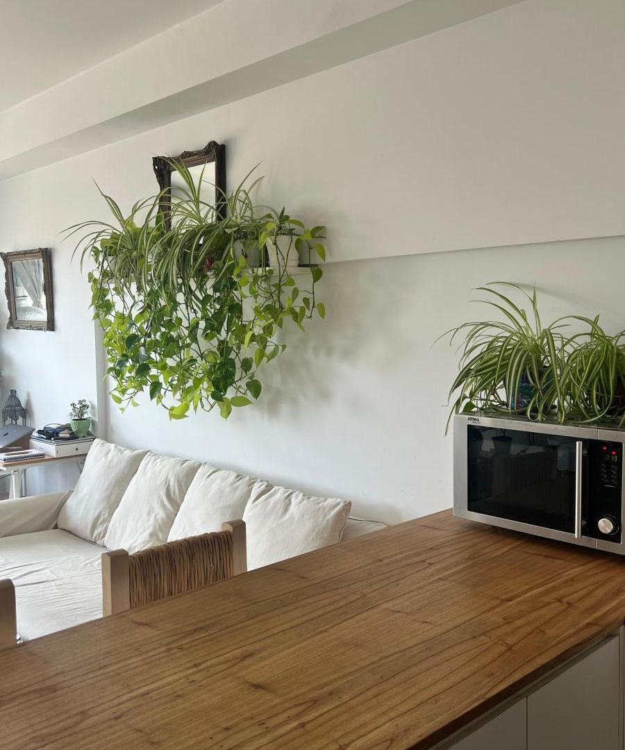 Foto de DEPARTAMENTO MONOAMBIENTE-VILLA URQUIZA-ALQUILER TEMPORAL, imagen 5