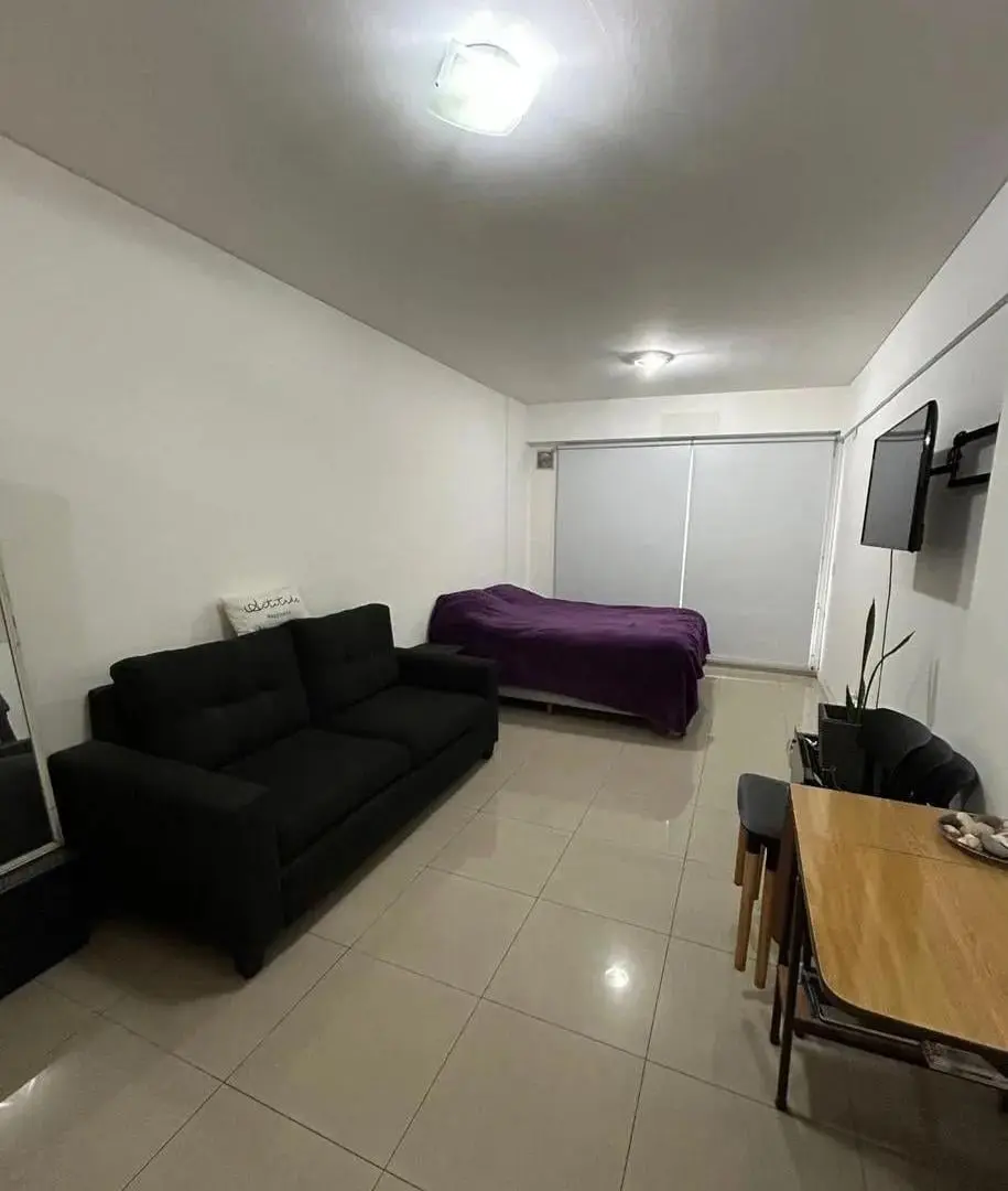 DEPARTAMENTO MONOAMBIENTE-VILLA DEL PARQUE-ALQUILER TEMPORAL 4