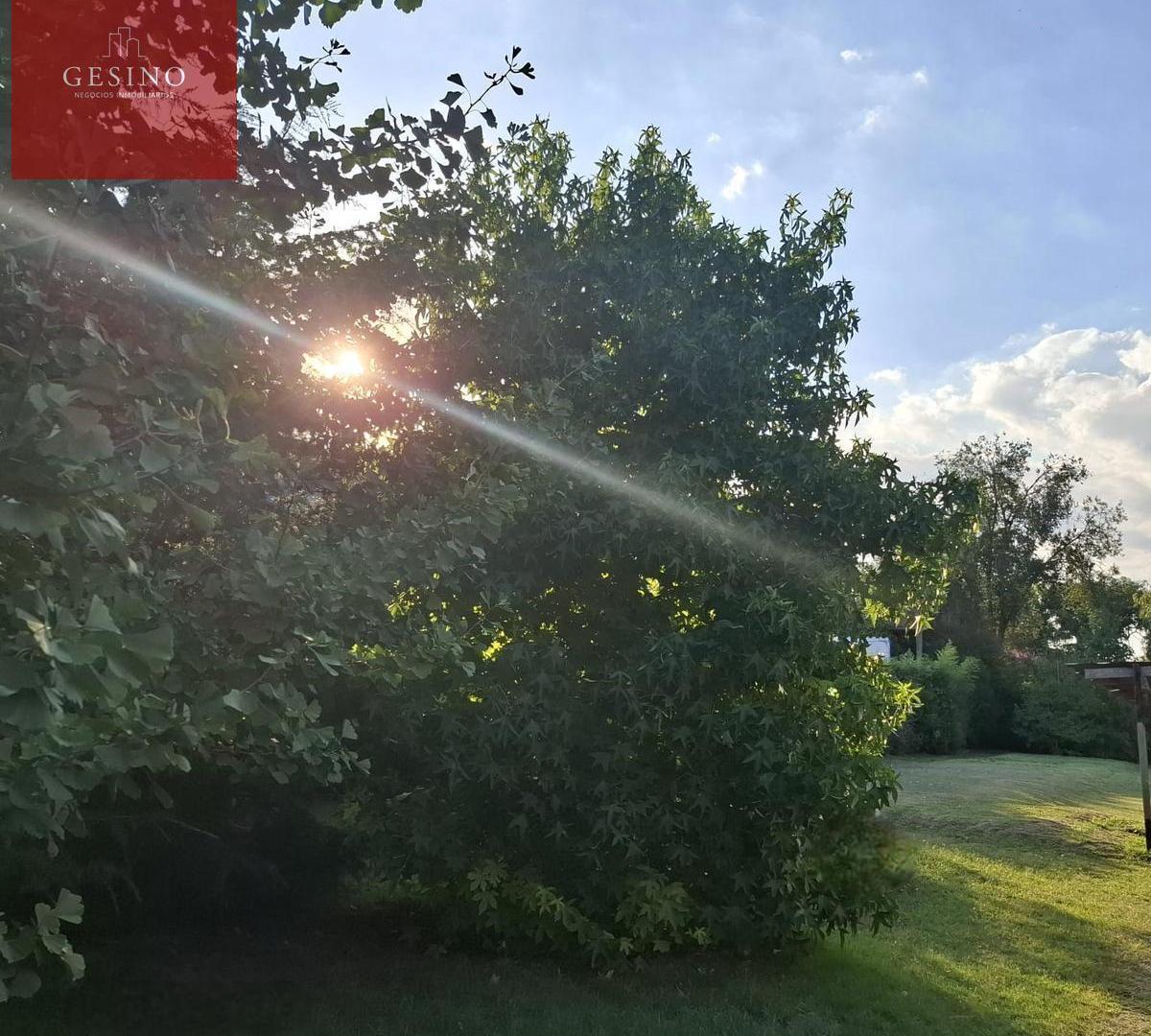 Foto de Terreno con pileta en venta en Villa Elisa, imagen 5