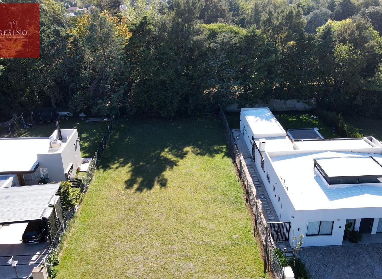 Foto de Terreno en Villa Elisa, imagen 3
