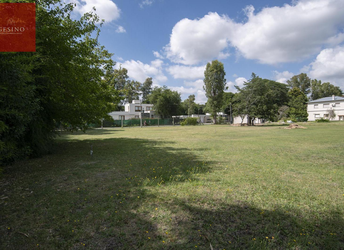 Foto de Lotes en Venta en Villa Elisa entre caminos, imagen 2
