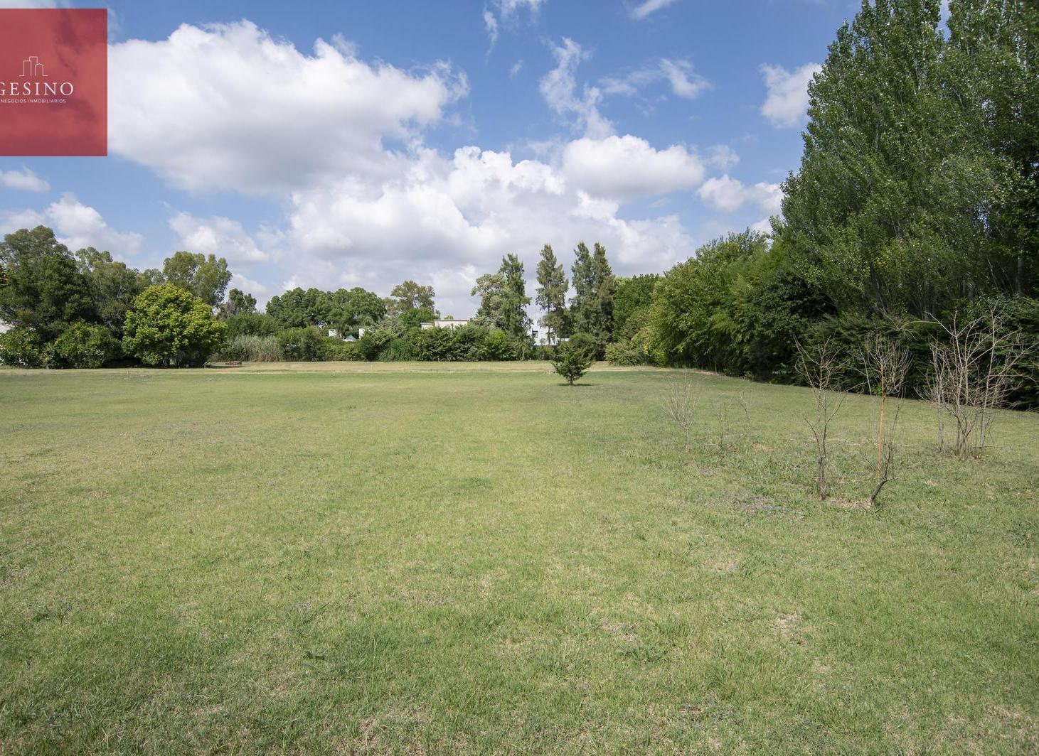 Foto de Lotes en Venta en Villa Elisa entre caminos, imagen 1