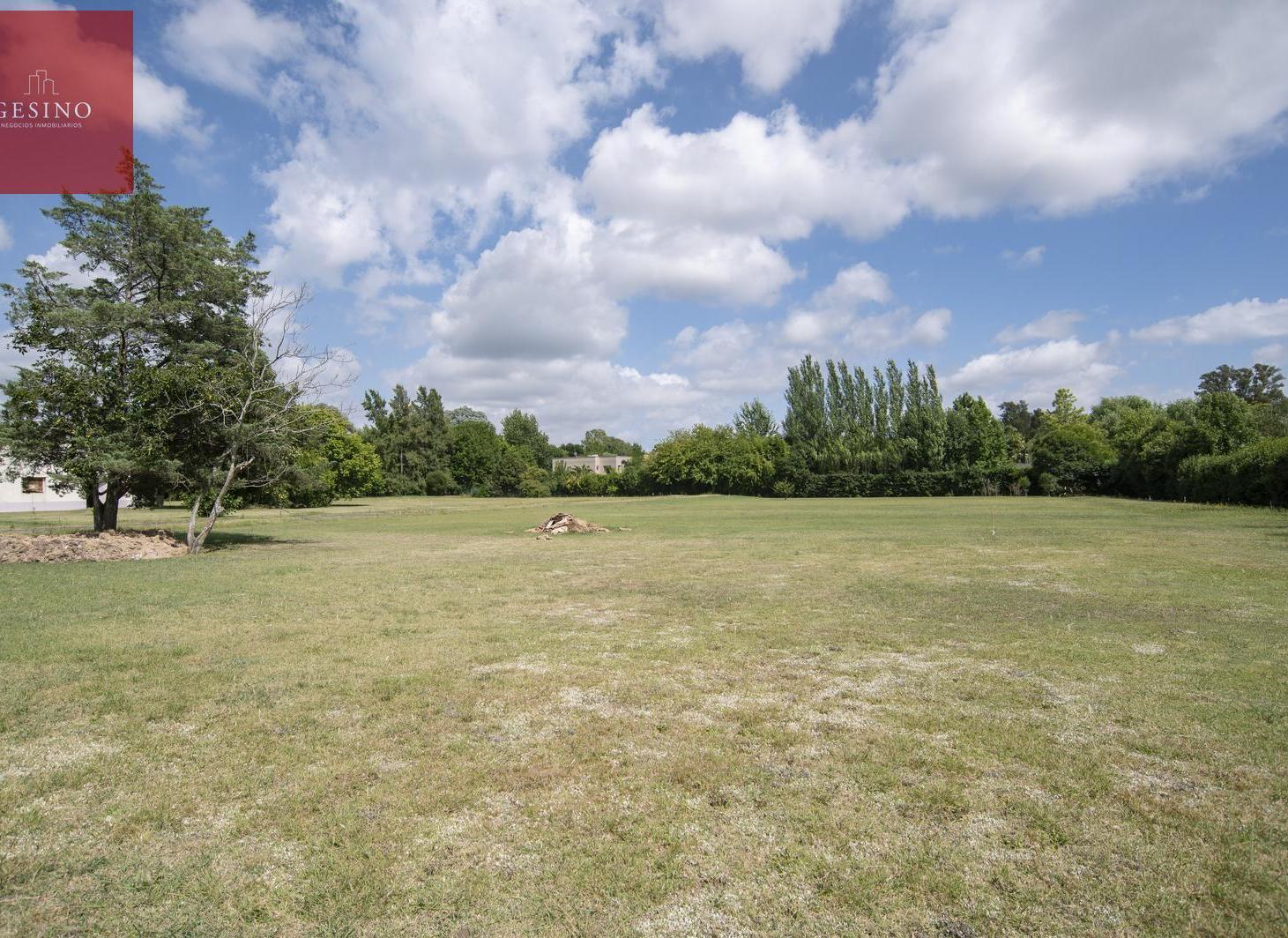 Foto de Lotes en Venta en Villa Elisa entre caminos, imagen 2