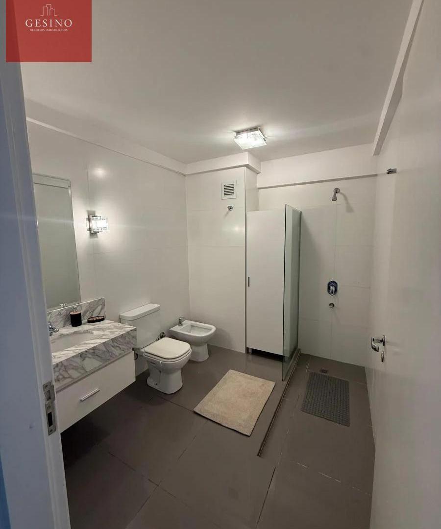 Foto de DEPARTAMENTO MONOAMBIENTE-PUERTO MADERO-ALQUILER TEMPORAL, imagen 5