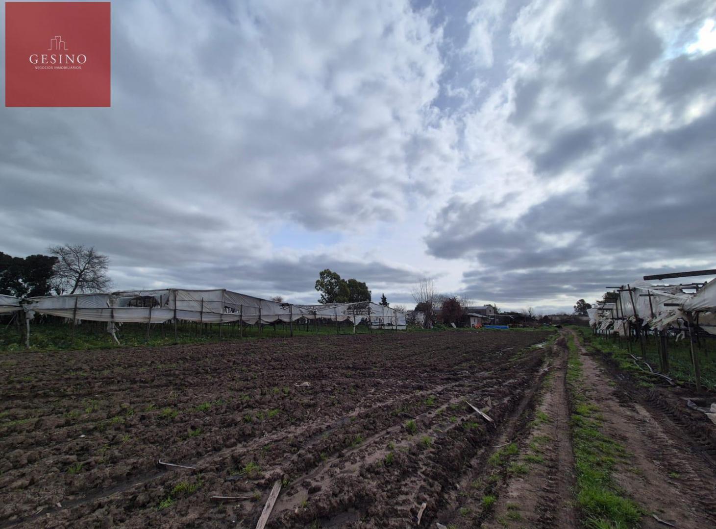 Foto de Campo de 3.8 Hectáreas Con Galpón, imagen 2