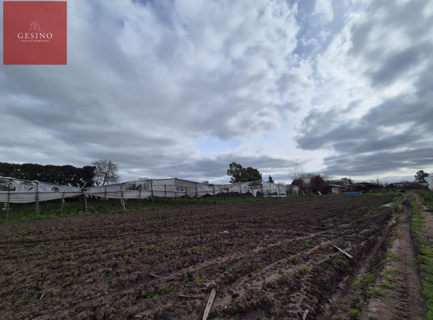 Foto de Campo de 3.8 Hectáreas Con Galpón, imagen 5