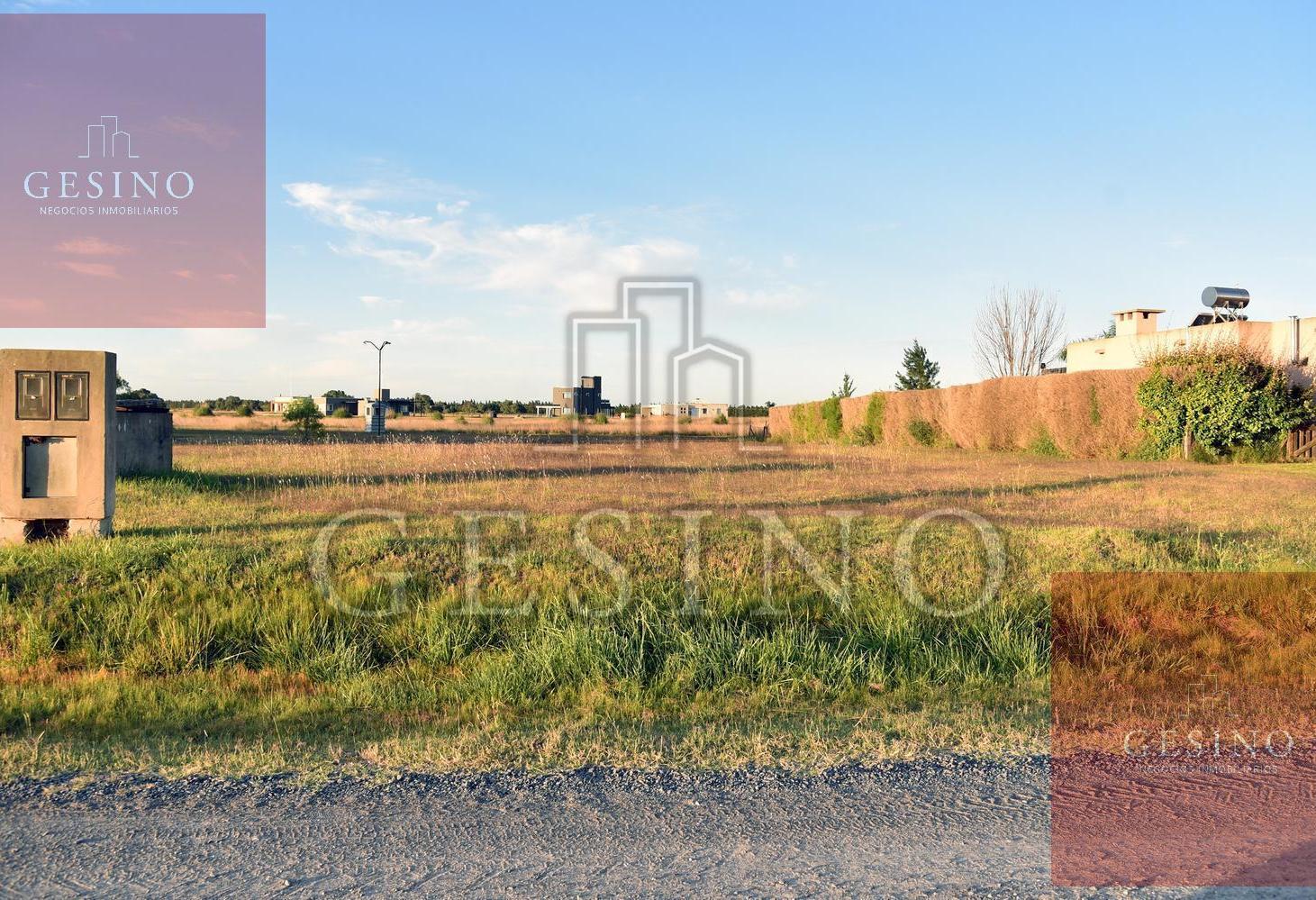 Foto de Terreno en La Faustina, imagen 3