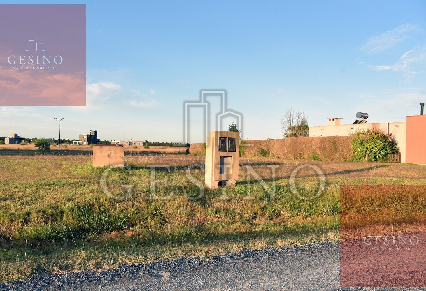 Foto de Terreno en La Faustina, imagen 1